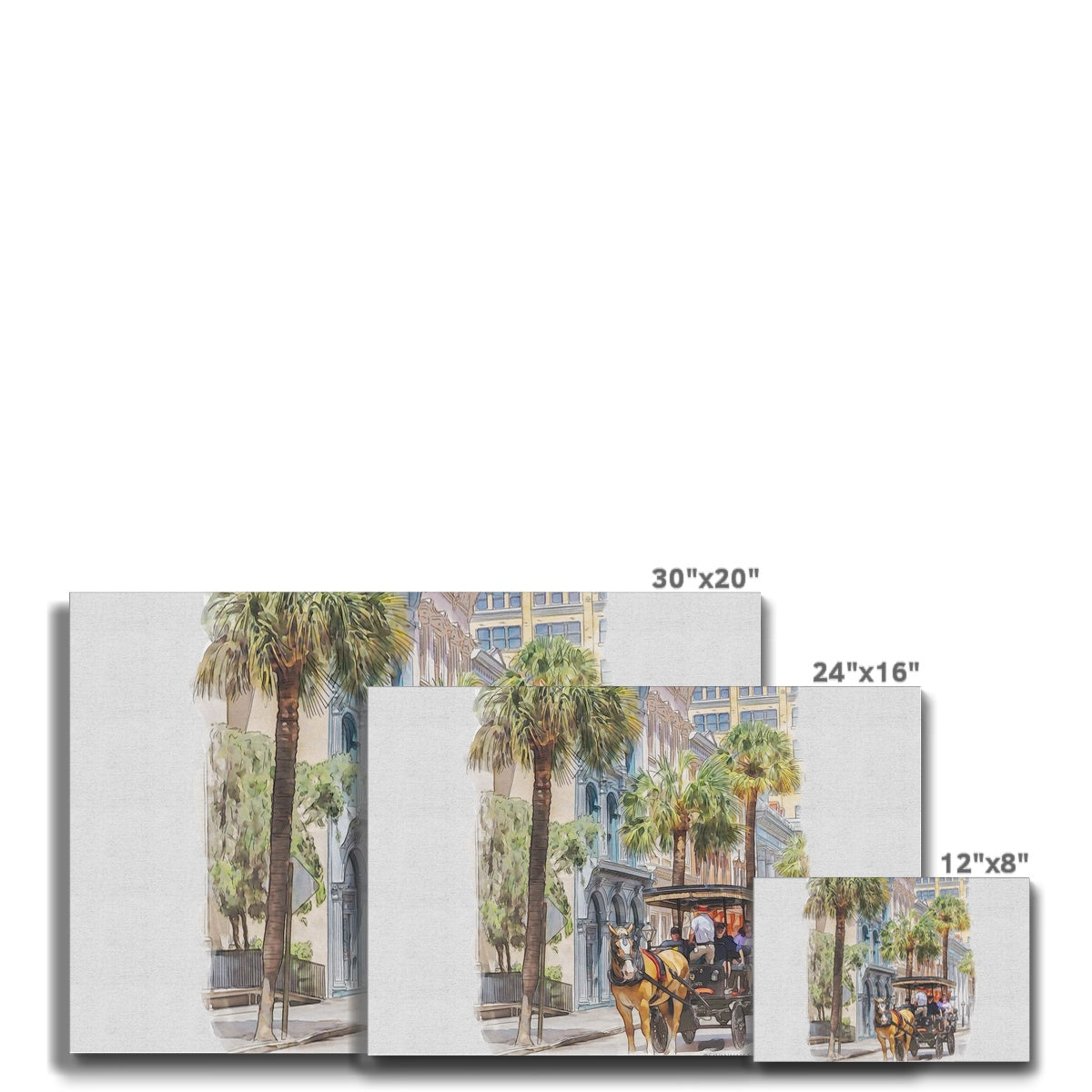 Charleston Carriage Tour Eco Canvas